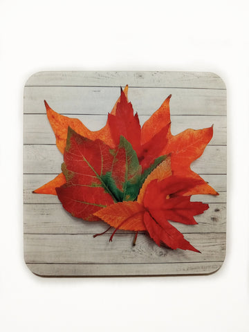 Fall Leaves Coasters