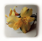 Yellow Lily Coasters