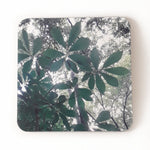 Canopy Drink Coasters