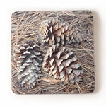 Pine Cones Drink Coasters