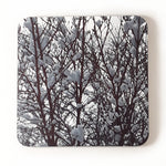 Snow Trees Drink Coasters