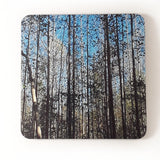 Tall Trees Drink Coasters