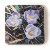 Crocuses Drink Coasters