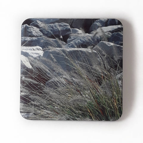 Reeds and Rocks Drink Coasters