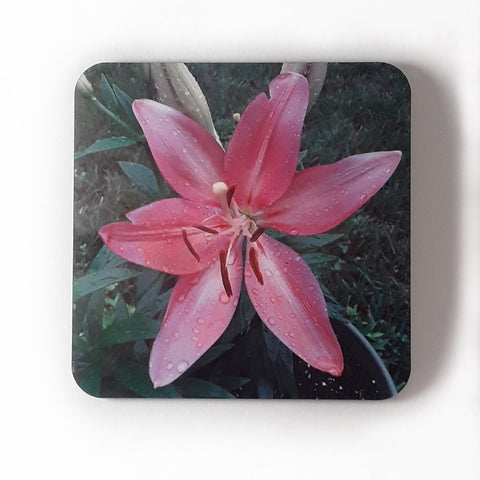 Asiatic Lily Coaster