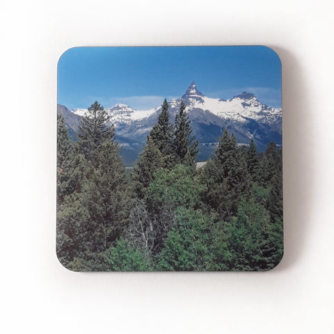 Yellowstone Mountain Coasters