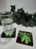 Sassafras Leaves Coasters